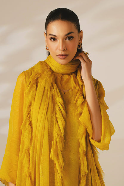 4 PIECE STITCHED - BAMBERG CHIFFON | PRINTED