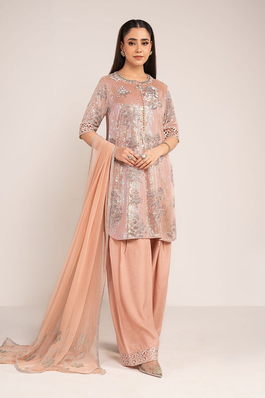 3 PIECE STITCHED - CHIFFON | EMBROIDERED